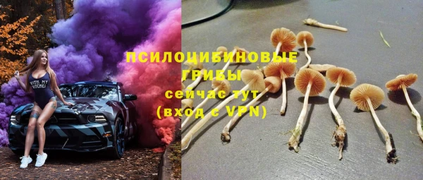 стафф Магадан