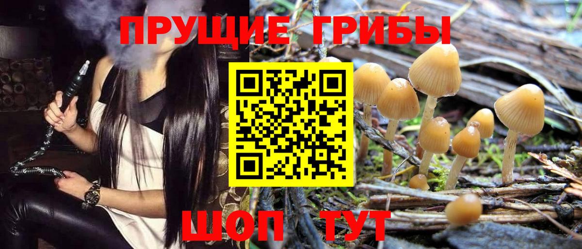 Галлюциногенные грибы Magic Shrooms Шадринск